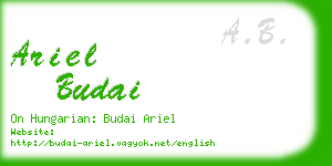 ariel budai business card